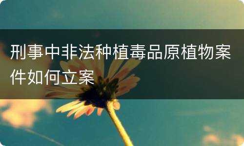 刑事中非法种植毒品原植物案件如何立案