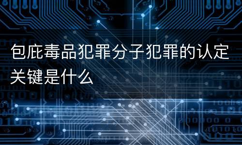包庇毒品犯罪分子犯罪的认定关键是什么