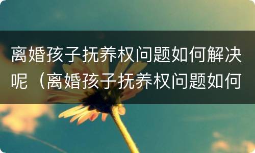 离婚孩子抚养权问题如何解决呢（离婚孩子抚养权问题如何解决呢视频）