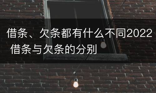 借条、欠条都有什么不同2022 借条与欠条的分别