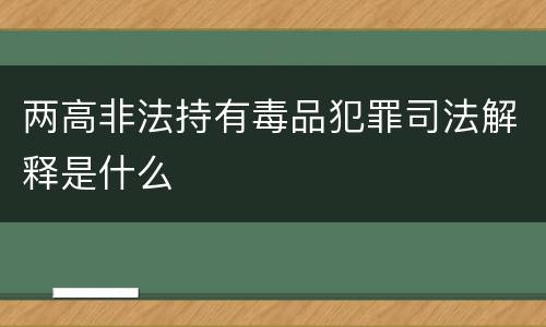 两高非法持有毒品犯罪司法解释是什么