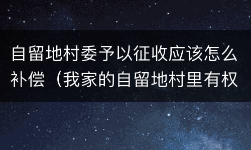 自留地村委予以征收应该怎么补偿（我家的自留地村里有权征收吗?）
