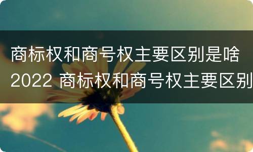 商标权和商号权主要区别是啥2022 商标权和商号权主要区别是啥2022年的