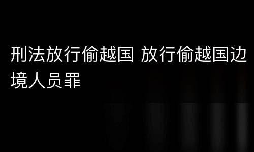 刑法放行偷越国 放行偷越国边境人员罪