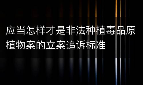 应当怎样才是非法种植毒品原植物案的立案追诉标准