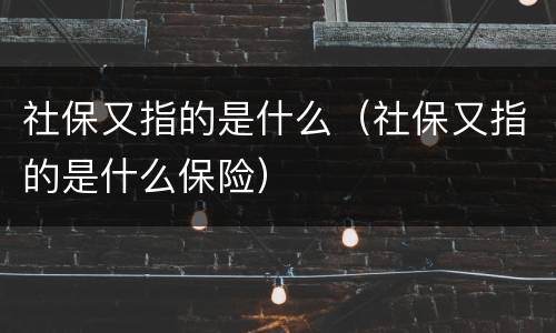 社保又指的是什么（社保又指的是什么保险）
