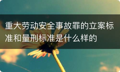 重大劳动安全事故罪的立案标准和量刑标准是什么样的