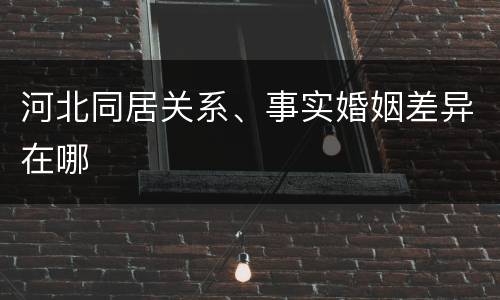 河北同居关系、事实婚姻差异在哪