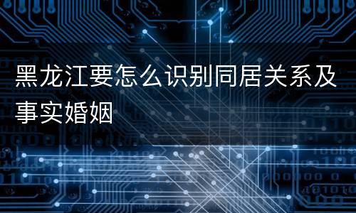 黑龙江要怎么识别同居关系及事实婚姻