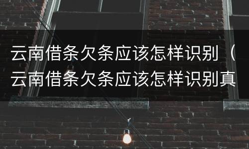 云南借条欠条应该怎样识别（云南借条欠条应该怎样识别真假）