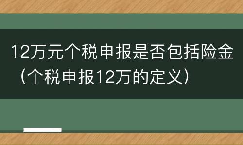 12万元个税申报是否包括险金（个税申报12万的定义）