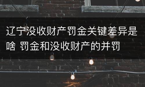 辽宁没收财产罚金关键差异是啥 罚金和没收财产的并罚