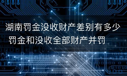湖南罚金没收财产差别有多少 罚金和没收全部财产并罚