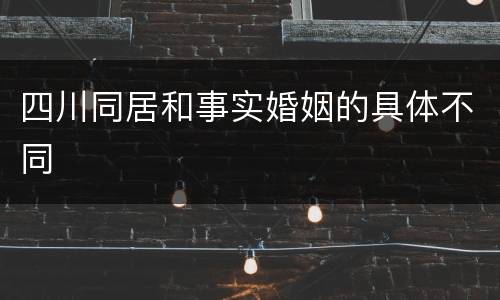 四川同居和事实婚姻的具体不同