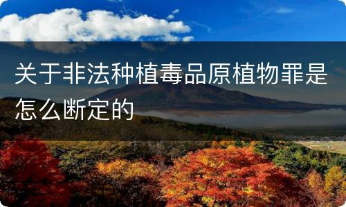 关于非法种植毒品原植物罪是怎么断定的