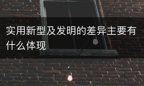 实用新型及发明的差异主要有什么体现