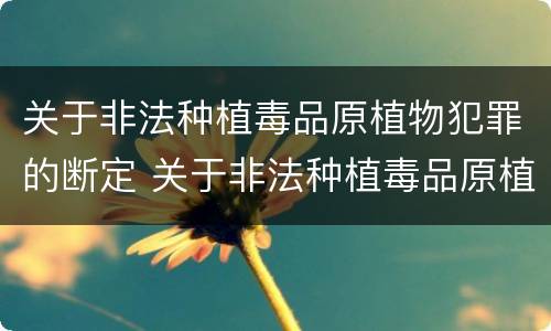 关于非法种植毒品原植物犯罪的断定 关于非法种植毒品原植物犯罪的断定案例