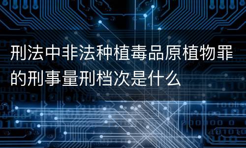 刑法中非法种植毒品原植物罪的刑事量刑档次是什么