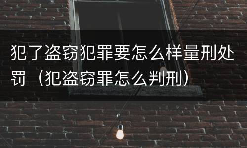 犯了盗窃犯罪要怎么样量刑处罚（犯盗窃罪怎么判刑）