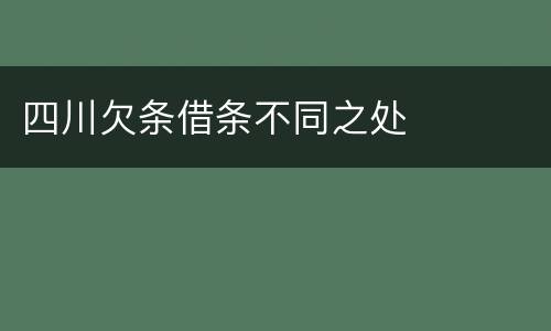 四川欠条借条不同之处