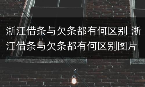 浙江借条与欠条都有何区别 浙江借条与欠条都有何区别图片