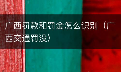 广西罚款和罚金怎么识别（广西交通罚没）