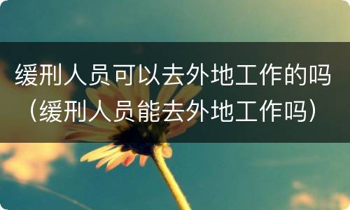 缓刑人员可以去外地工作的吗（缓刑人员能去外地工作吗）