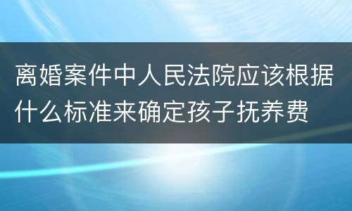 离婚案件中人民法院应该根据什么标准来确定孩子抚养费