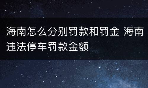 海南怎么分别罚款和罚金 海南违法停车罚款金额