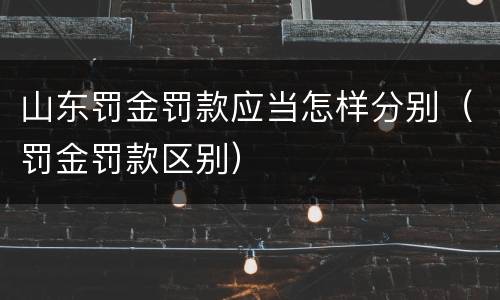 山东罚金罚款应当怎样分别（罚金罚款区别）