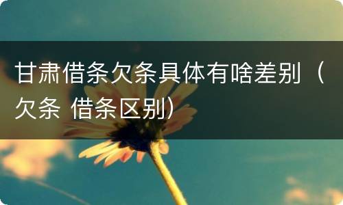 甘肃借条欠条具体有啥差别（欠条 借条区别）