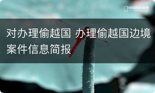 对办理偷越国 办理偷越国边境案件信息简报