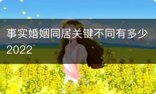 事实婚姻同居关键不同有多少2022