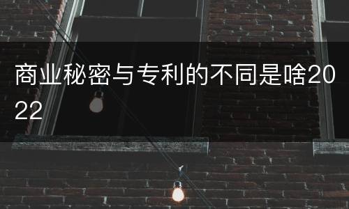 商业秘密与专利的不同是啥2022