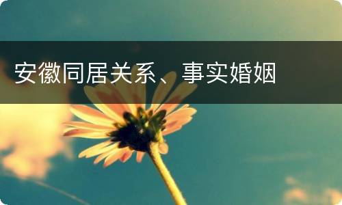 安徽同居关系、事实婚姻