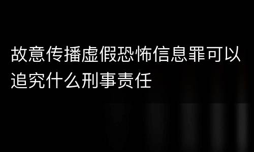 故意传播虚假恐怖信息罪可以追究什么刑事责任