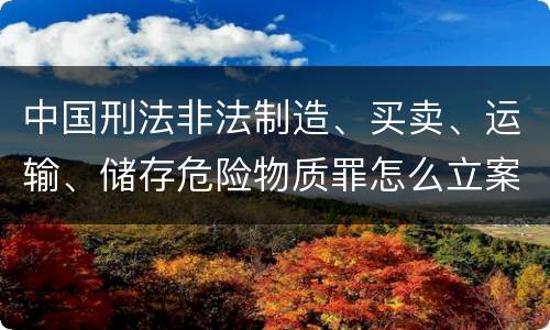 中国刑法非法制造、买卖、运输、储存危险物质罪怎么立案