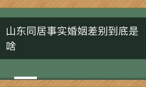 山东同居事实婚姻差别到底是啥
