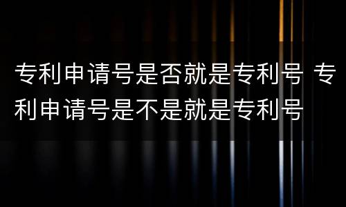 专利申请号是否就是专利号 专利申请号是不是就是专利号