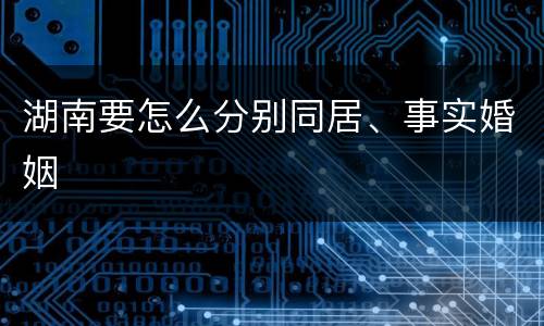 湖南要怎么分别同居、事实婚姻