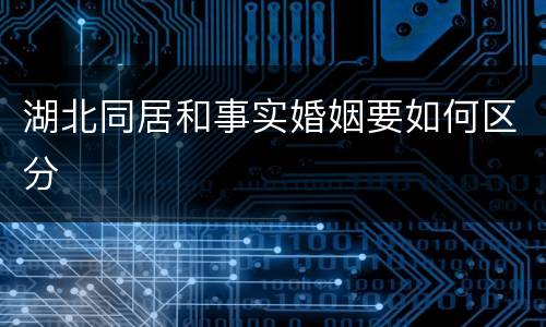 湖北同居和事实婚姻要如何区分