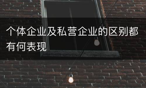 个体企业及私营企业的区别都有何表现