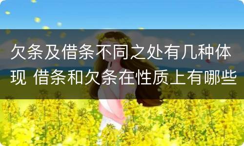 欠条及借条不同之处有几种体现 借条和欠条在性质上有哪些不同