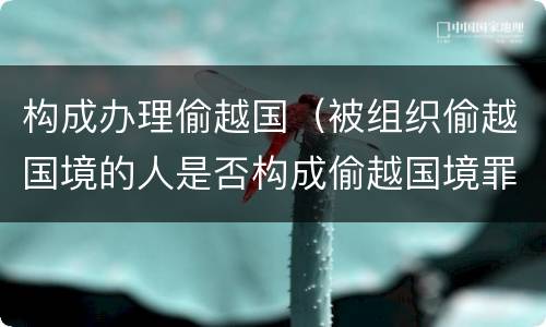 构成办理偷越国（被组织偷越国境的人是否构成偷越国境罪）