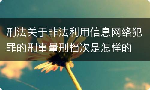 刑法关于非法利用信息网络犯罪的刑事量刑档次是怎样的
