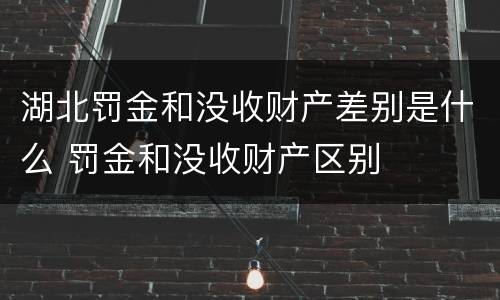 湖北罚金和没收财产差别是什么 罚金和没收财产区别