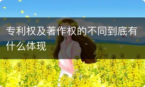 专利权及著作权的不同到底有什么体现