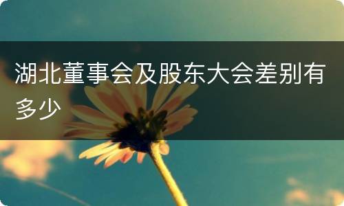 湖北董事会及股东大会差别有多少