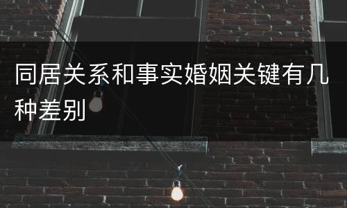 同居关系和事实婚姻关键有几种差别