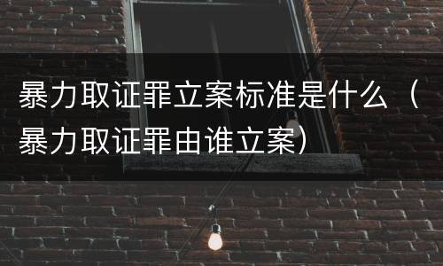 暴力取证罪立案标准是什么（暴力取证罪由谁立案）